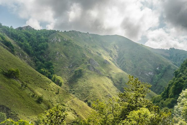 Le basket aux Jeux Olympiques : analyse des performances