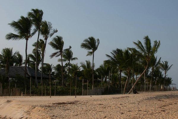 Programmes cardio pour tous les niveaux